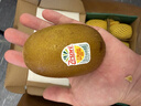 佳沛（zespri）新西兰阳光金奇异果 8个装 特大果单果重约124-146g 水果猕猴桃 实拍图
