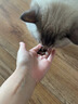 法米娜渴望猫粮纽翠斯希宝nulo自然光环K9冻干百利美士进口试吃装 法米娜石榴鸡肉【成猫】 40g 【原包拆装】 实拍图