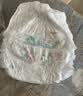 好奇（Huggies）铂金装小桃裤成长裤XXL74片(15kg以上)尿不湿【夏季散热王】 实拍图