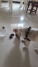 力狼（LILANG）狗粮幼犬粮 博美泰迪柯基金毛边牧全犬种中小型犬通用型狗粮 【经典配方】幼犬粮10kg 实拍图