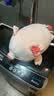 名创优品（MINISO）小猪B-BO弹力超柔趴姿公仔毛绒玩偶儿童玩具抱枕靠枕生日礼物女 实拍图