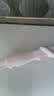 米家无线吸尘器2 Lite 吸尘器 家用车载升级旋风风道 轻量省力二合一 持久澎湃吸力 实拍图