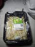 七鲜24小时富硒绿豆芽 200g 实拍图