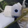 达而稳（DOREWIN）WIFI信号放大器无线转有线网口网络接收器手机信号增强器扩展中继器ap扩展三合一 300M三合一 实拍图