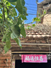 Tagi.《哈哈》小狗化妆包夏可爱防水洗漱包化妆品收纳包七夕情人节礼物 实拍图