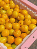 新疆小白杏300g 实拍图