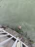 九慕屋JMW天龙座弹射微物竿溪流马口竿路亚竿UL溪流路亚竿FUJI 1.53米 直柄S502UL 实拍图