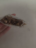 碧翠园高蛋白燕麦谷物棒巧克力酥脆烘焙谷物0蔗糖饱腹代餐零食20g*25支 实拍图