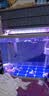 派乐特鱼缸滤材原矿橄榄球净水硝化培菌材料过滤滤材细菌滤材 实拍图