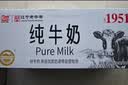 辉山纯牛奶250ml*24盒 3.1g乳蛋白 100mg钙 全新升级 营养牛奶 实拍图