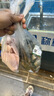 英菲克（INPHIC）B1有线鼠标静音办公台式机电脑游戏电竞男USB适用于惠普华硕笔记本机械专用8800DPI机械专用 B1经典白【办公游戏都好用+6键升级版】 实拍图