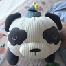babycare婴儿玩偶安抚枕宝宝多功能哄睡抱枕侧睡靠背档枕咘咘熊猫45*23*15 实拍图