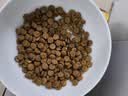 网易严选猫湿粮宠物零食浓汤大口肉罐头 鸡肉+三文鱼85g 试吃装 实拍图
