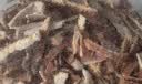 李时珍白茯苓块500g安徽岳西正品无硫泡水茶搭配中药材陈皮山楂百合膏片 陈皮丝 20g*1袋 【茯苓黄金搭档】 大别山北纬30°黄金产区直采 实拍图