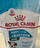 皇家狗粮 贵宾幼犬狗粮 犬粮 宠物小型犬 APD33 全价犬粮 2-10月 3KG 实拍图