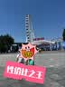 迪卡侬登山包徒步背包双肩包MH300城市轻户外运动徒步旅行旅游学生书包 灰色/米黄色 15升 实拍图