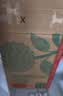 农夫山泉东方树叶乌龙茶500ml*15瓶无糖茶饮料0糖0脂0卡整箱装饮品 实拍图