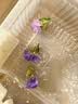 爱满云南勿忘我干花鲜花摆件客厅装饰真花插花满天星花束节日生日搭配 勿忘我六色+情人草约40支左右 实拍图