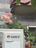 北极绒4条装儿童内裤女童发育期纯棉女孩学生10A抑菌平角短裤宝宝中大童 实拍图