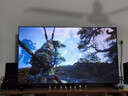 飞智冰原狼4多模版无线游戏手柄 类xbox 力调节摇杆双切扳机 switch电脑PC手机steam体感NS 仁王3 实拍图