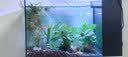 松宝（sobo）鱼缸氧气泵养鱼增氧机充氧泵家用小型制氧机氧气机鱼用充氧器低音 【升级更静 气量可调】双孔3.5W+气石套餐 实拍图