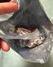 老街口枣仁派255g/袋 即食无添加新疆特产枣夹核桃夹心枣糕零食 实拍图
