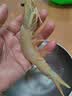 活冻海捕大明虾500g/盒 鲜活速冻大虾海虾对虾白虾 海鲜生鲜 虾类 海捕大明虾 500g(净重)  *3盒 实拍图
