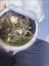 一杯香茶叶茉莉花茶香毫特级500g2026新茶礼盒装送礼茉莉绿茶自己喝散装 实拍图