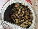艺福堂胎菊花茶50g 新花无硫熏杭白菊 特养生凉茶级可搭配玫瑰花枸杞 实拍图