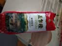 金城食品虾仁猪肉烧卖240g 8只 早餐食品广式早茶点心鲜虾烧麦速食半成品 实拍图