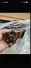 福茗源白茶 福鼎白茶寿眉500g 2016年原料老白茶叶礼盒送领导长辈自己喝 实拍图