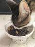 亿迪猫粮全价成猫幼猫冻干全阶段5斤布偶蓝猫英短橘猫通用小包装2.5kg 实拍图