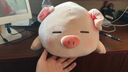 名创优品（MINISO）小猪B-BO弹力超柔趴姿公仔毛绒玩偶儿童玩具抱枕靠枕生日礼物女 实拍图