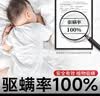 维康（wecan）祛螨包床上用除螨包驱螨虫去螨虫家用天然中草药宿舍学生 100%驱螨率 掌柜推荐 25袋50包 实拍图