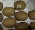 佳沛（zespri）新西兰阳光金奇异果10粒巨大果单果146-175g 猕猴桃水果礼盒 实拍图