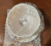 品喻（PINYU）繁花三色堇杯碟花型高颜值陶瓷咖啡杯碟精致手绘下午茶杯子 实拍图