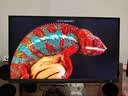 飞利浦EVNIA弈威 27英寸4K240Hz/FHD480双模 色准＜1 FastIPS硬件低蓝光 HDR DP2.1电竞显示器27M2N5800P 实拍图