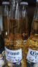 科罗娜（CORONA）特级啤酒330ml*24瓶啤酒整箱经典拉格京东自营七夕送礼 实拍图