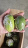 广东香水柠檬包邮新鲜水果柠檬精选皮薄奶茶店【百补优选】 香水柠檬6粒装  单果净重70g+ 实拍图