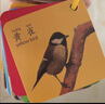 艾杰普（JEPPE）幼儿认知卡片0-6岁宝宝早教玩具看图识字物卡片全套8本生日礼物 实拍图