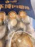 德叔鲍鱼无壳鲍鱼肉100g（约10粒）鲜活鲍鱼加工火锅烧烤食材海鲜生鲜 实拍图