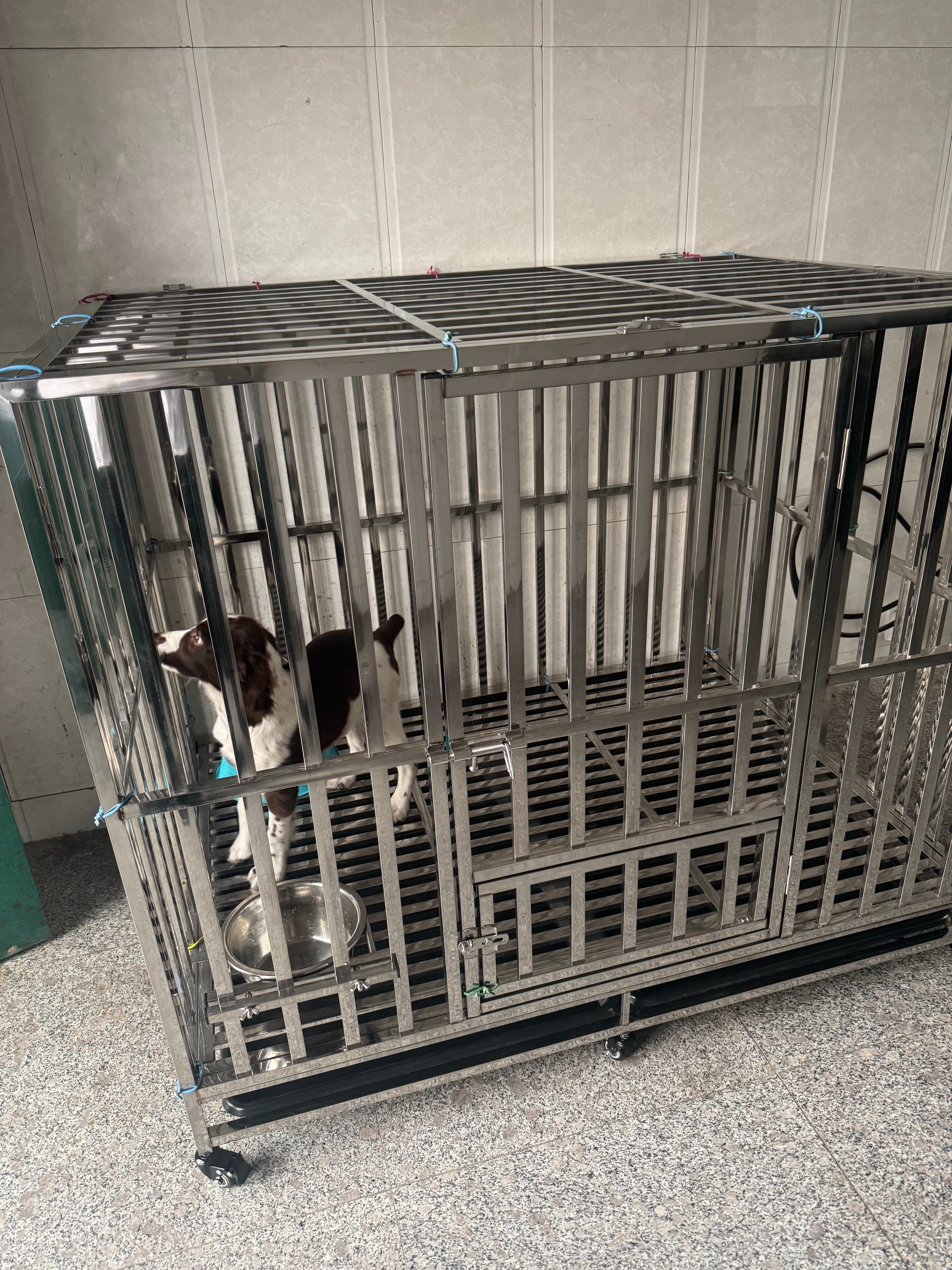 华美龙狗笼子加粗中大型犬不锈钢狗笼宠物狗狗窝狗屋柯基金毛高档耐咬 【组装款】78*52*68【激光满焊+赠狗碗×1】 实拍图