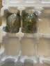 神丹特大松花皮蛋 凉拌即食无铅工艺 70g*15枚 源头直发包邮 实拍图