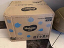 好奇（Huggies）金装小黑洞拉拉裤L124片(9-14kg)尿不湿【速干不易红】 实拍图