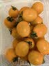 【水果菜】香芒皇后樱桃番茄400g 实拍图