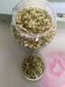 民补堂特级茉莉花茶2026新茶茉莉花干苞无硫浓香冷泡茶叶自己喝100g 实拍图