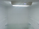 米家小米216L三门小冰箱一级能效小型家用节能安静运行冷冻冷藏租房宿舍官方正品京东自营MC-216TDM 实拍图