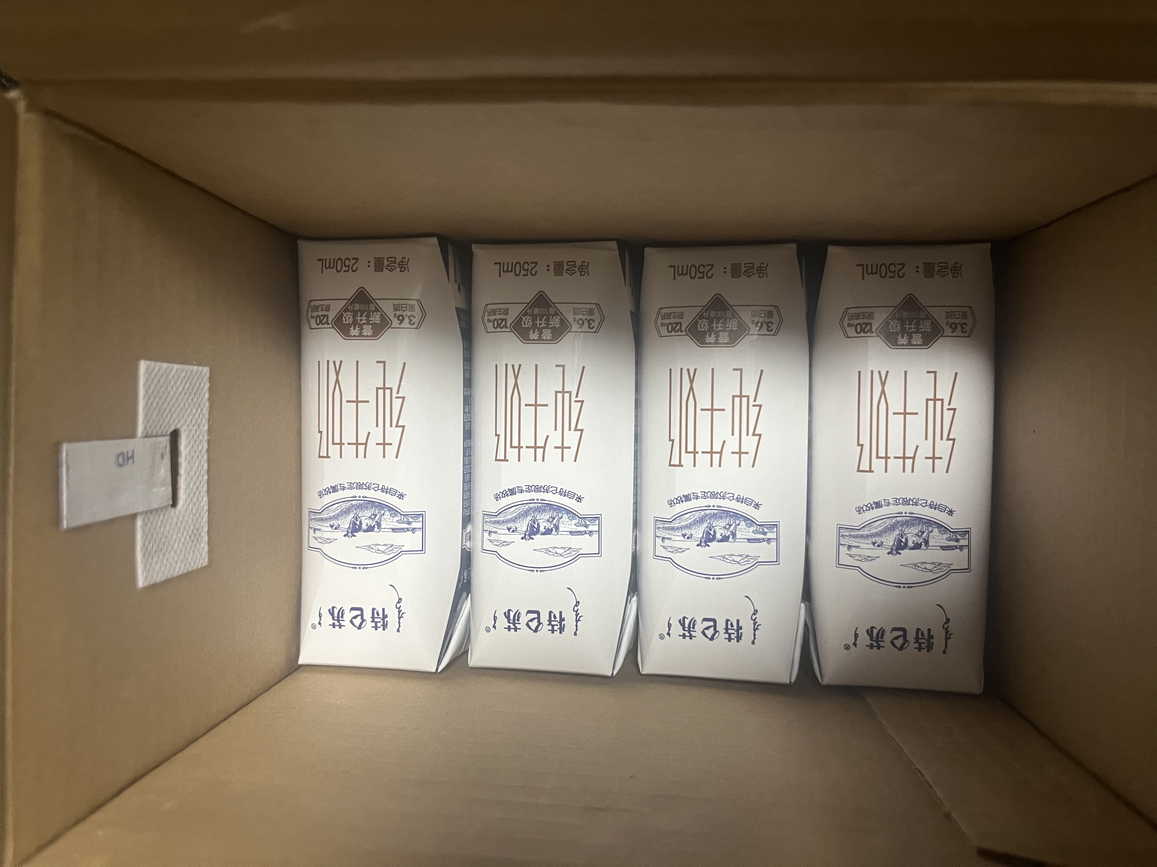 蒙牛特仑苏纯牛奶250ml*16盒 家庭早餐 送礼盒装送礼礼盒 实拍图