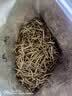 陈一凡 贵州雀舌 2026新茶特级明前茶叶雀舌嫩芽春茶自饮招待袋装250g 实拍图