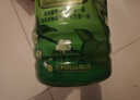 达利园青梅绿茶青梅果汁饮品果味茶饮料500ml*15瓶夏日酸甜饮料整箱装 实拍图